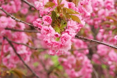 无锡梁溪区线下个人借款平台一站式服务，轻松解决资金难题