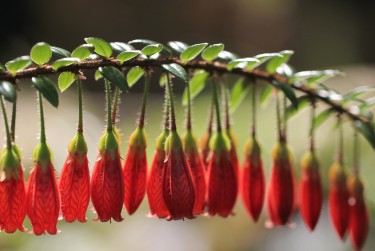 无锡梁溪区零用贷短借：轻松解决临时资金需求