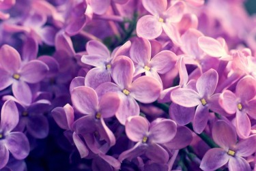 无锡梁溪区企业急用钱贷款攻略：快速融资解燃眉之急